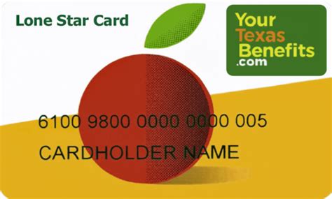 snap benefits houston|Lone Star Card